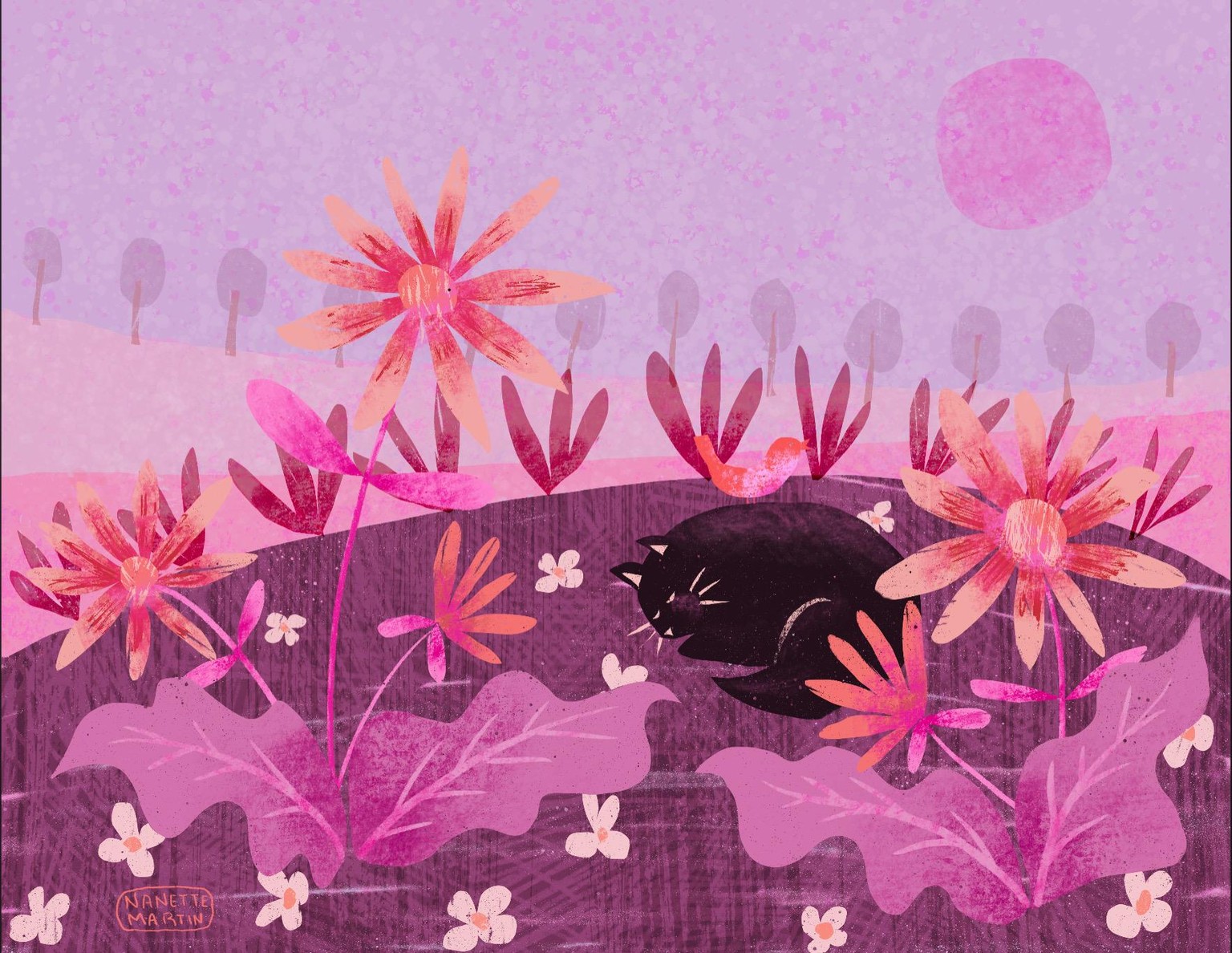 Afternoon Nap - image 5 - student project