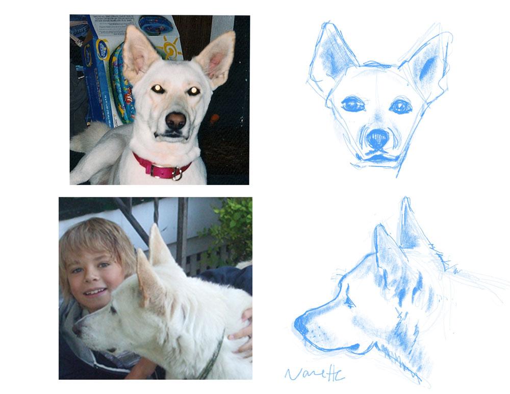 Noodle Dog - image 2 - student project