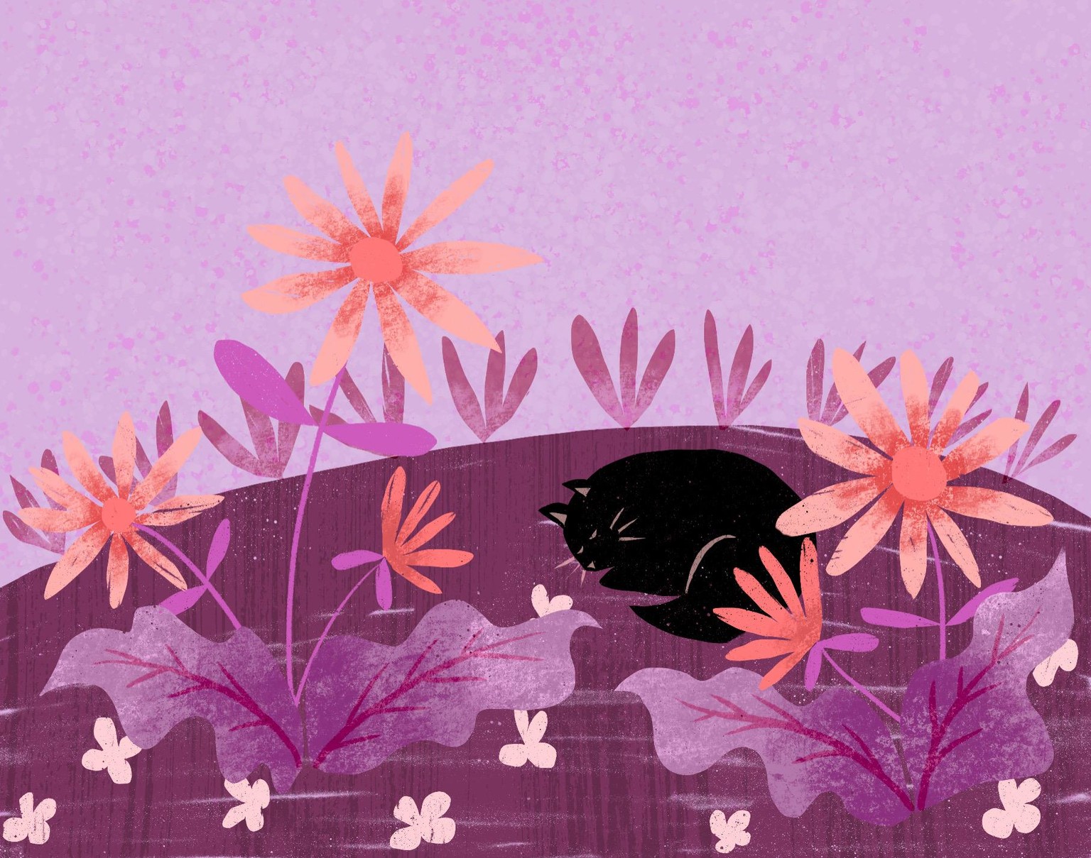 Afternoon Nap - image 4 - student project