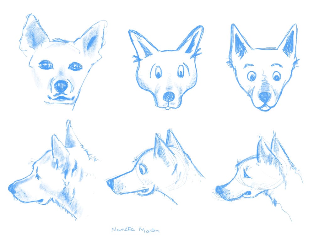 Noodle Dog - image 3 - student project
