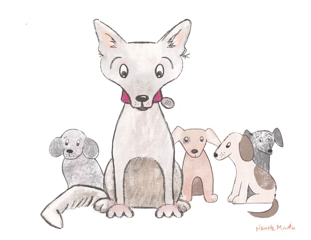 Noodle Dog - image 7 - student project