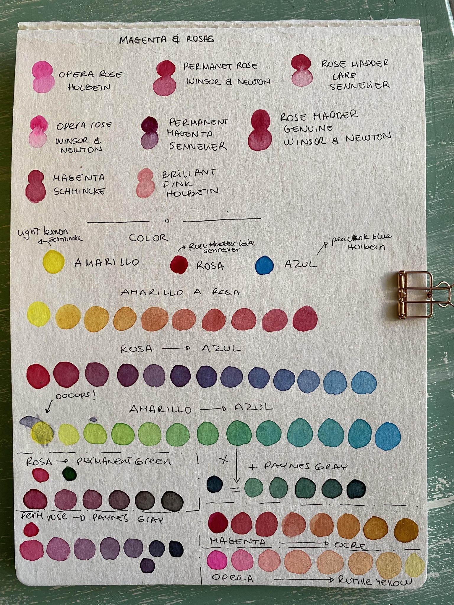 Rosas - image 2 - student project