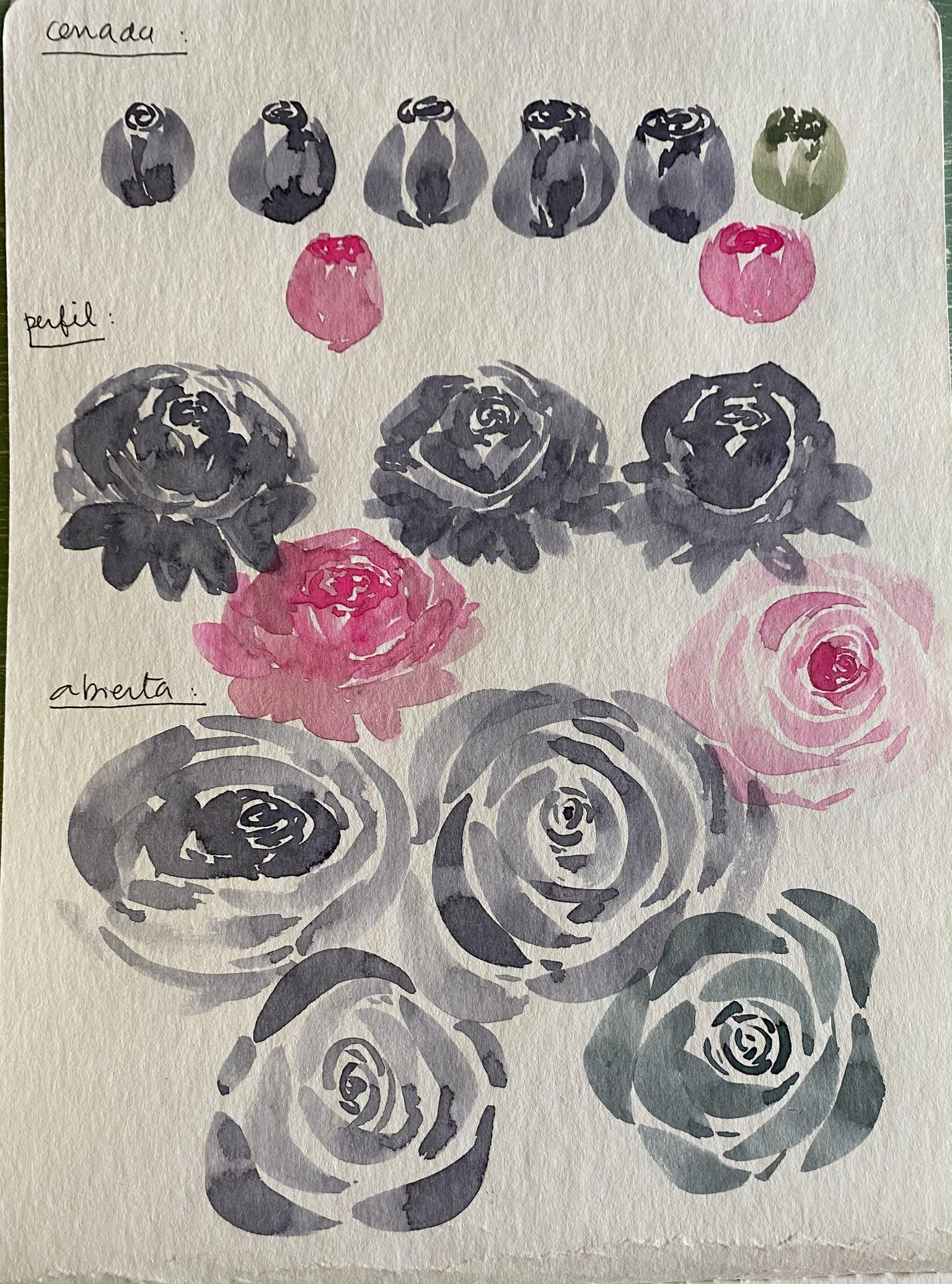 Rosas - image 4 - student project