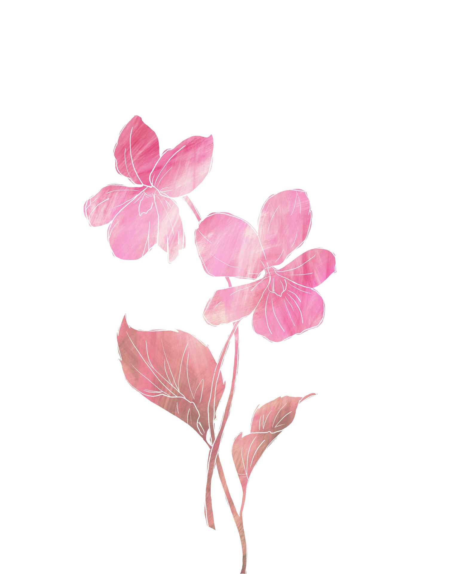 Flowers - image 1 - student project