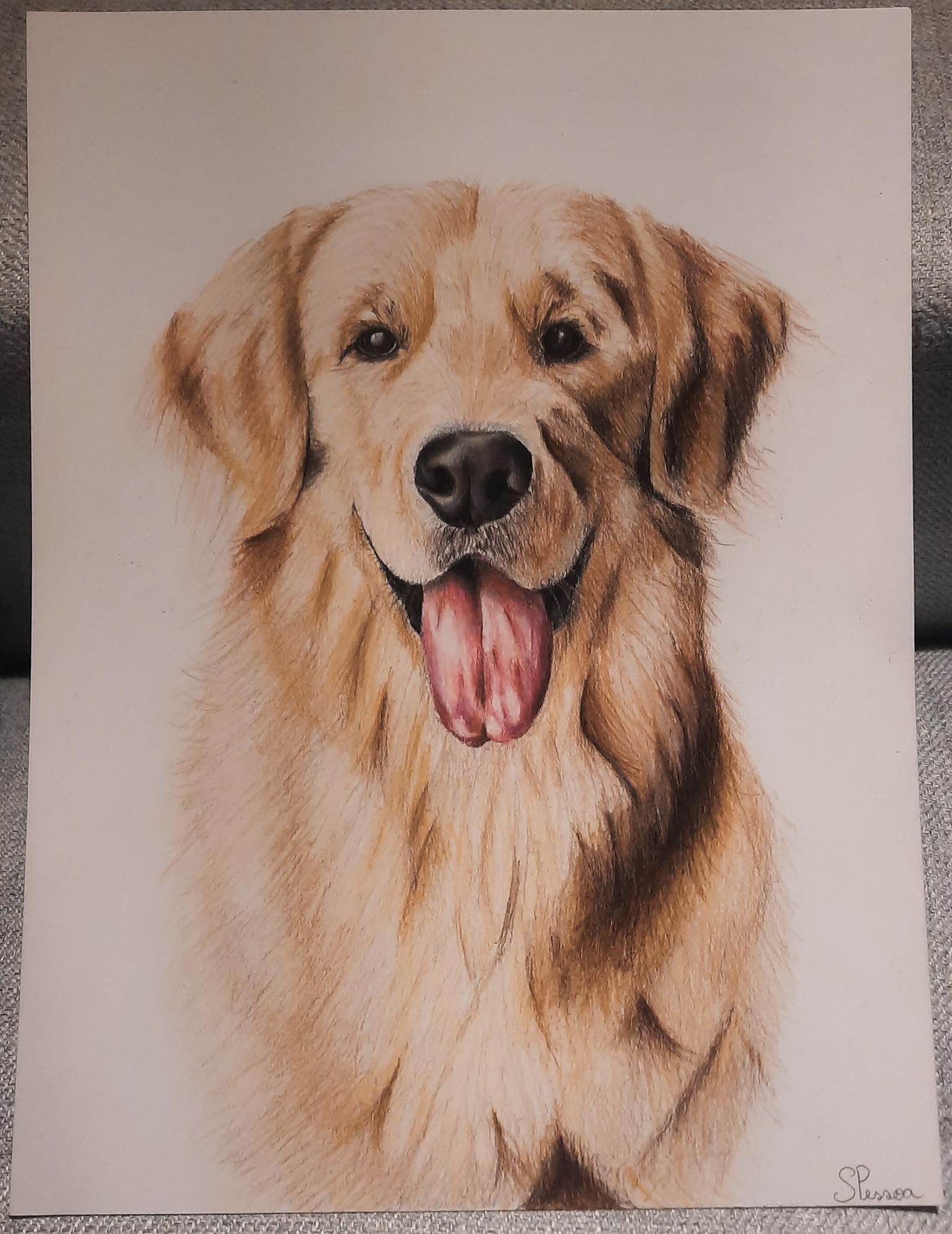 Golden Retriever in colored pencils - image 1 - student project