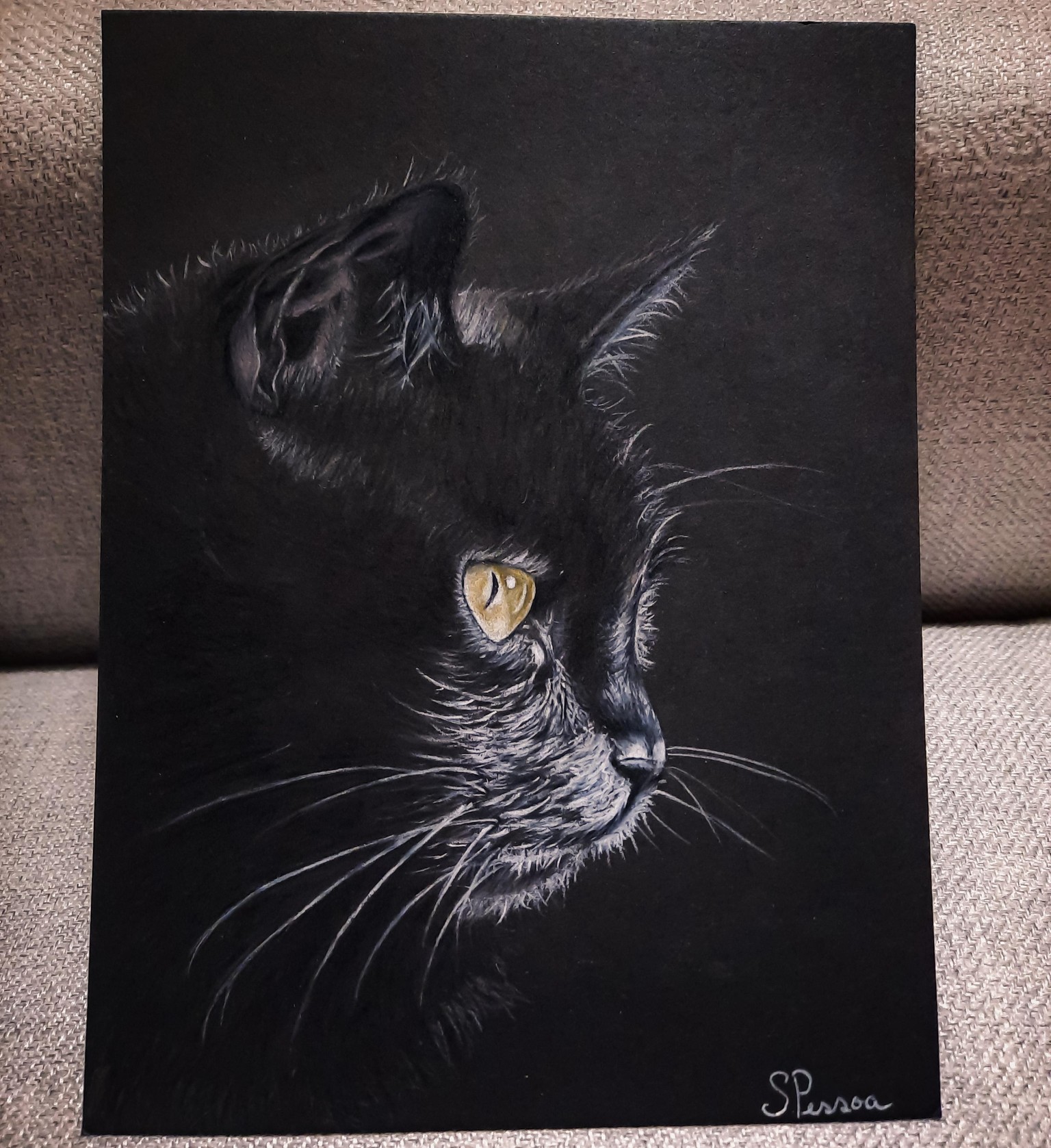 Cat on black paper - image 1 - student project