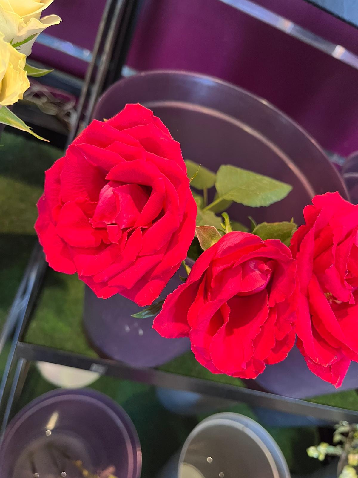 Processing Flowers - image 1 - student project