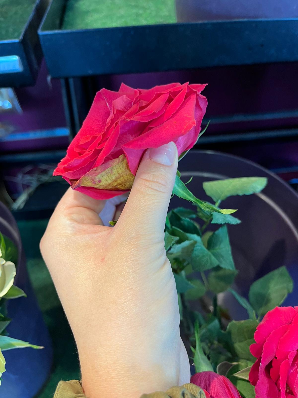 Processing Flowers - image 2 - student project