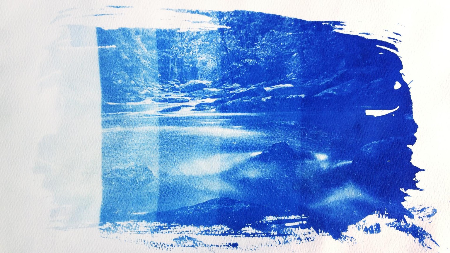 Cyanotype Class Project - image 2 - student project