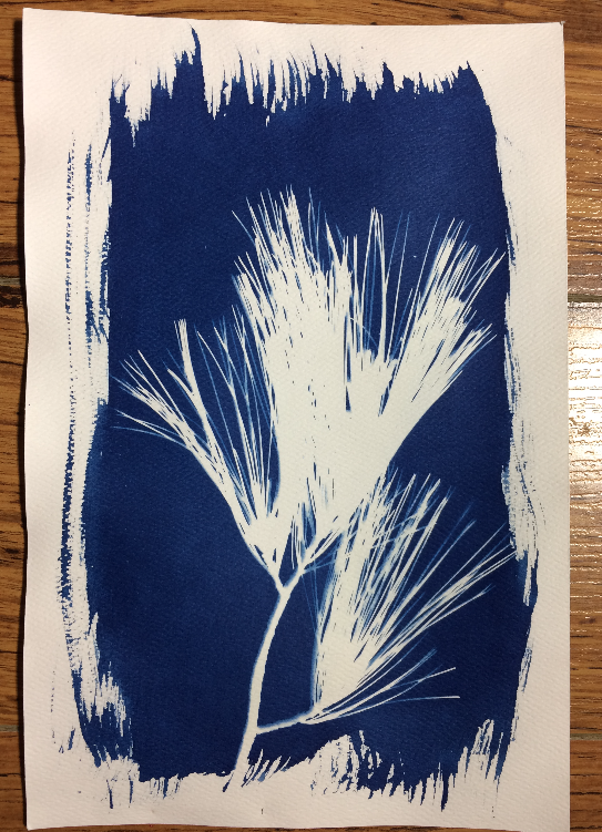 Pine Branch - image 1 - student project