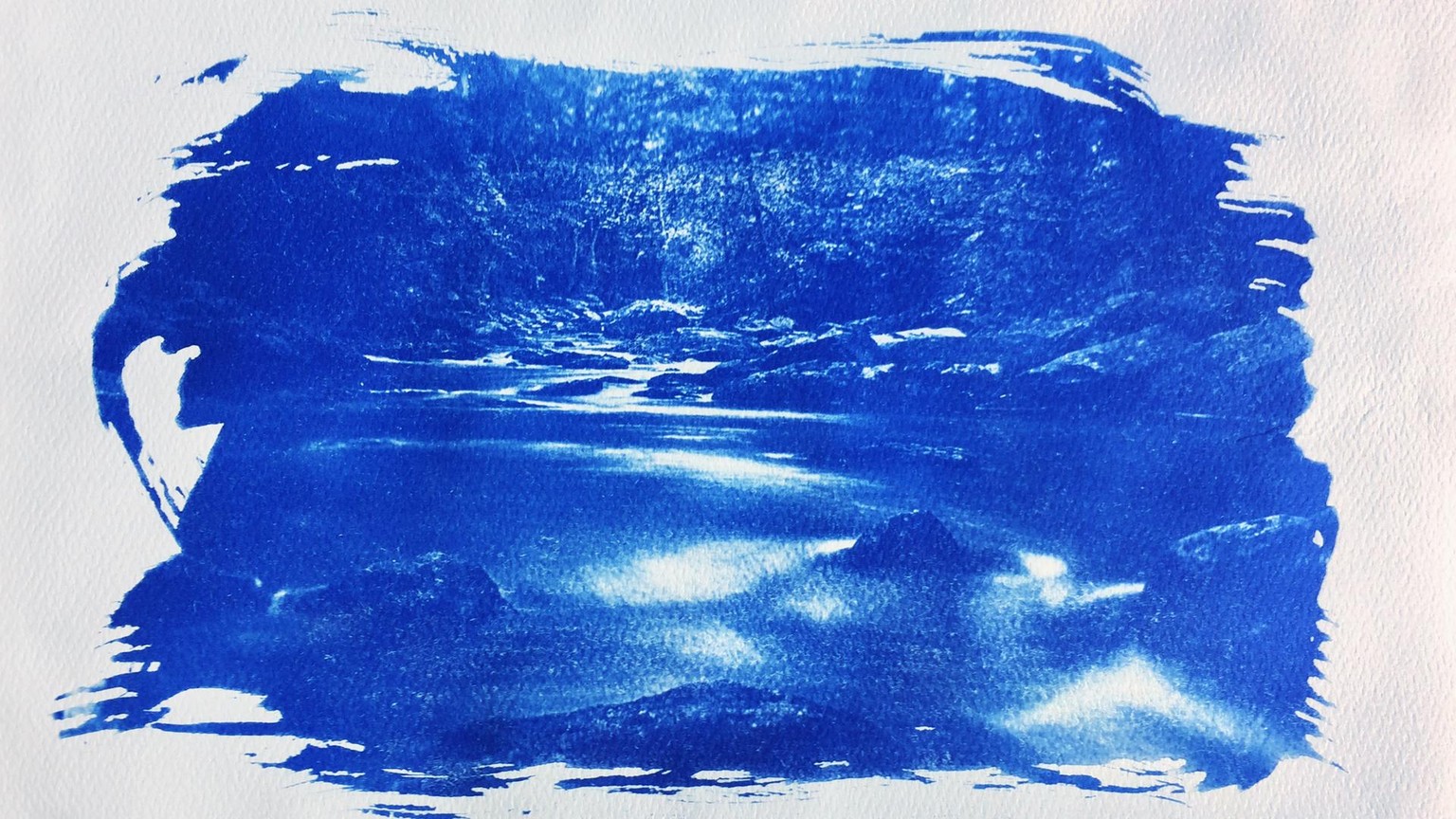 Cyanotype Class Project - image 1 - student project
