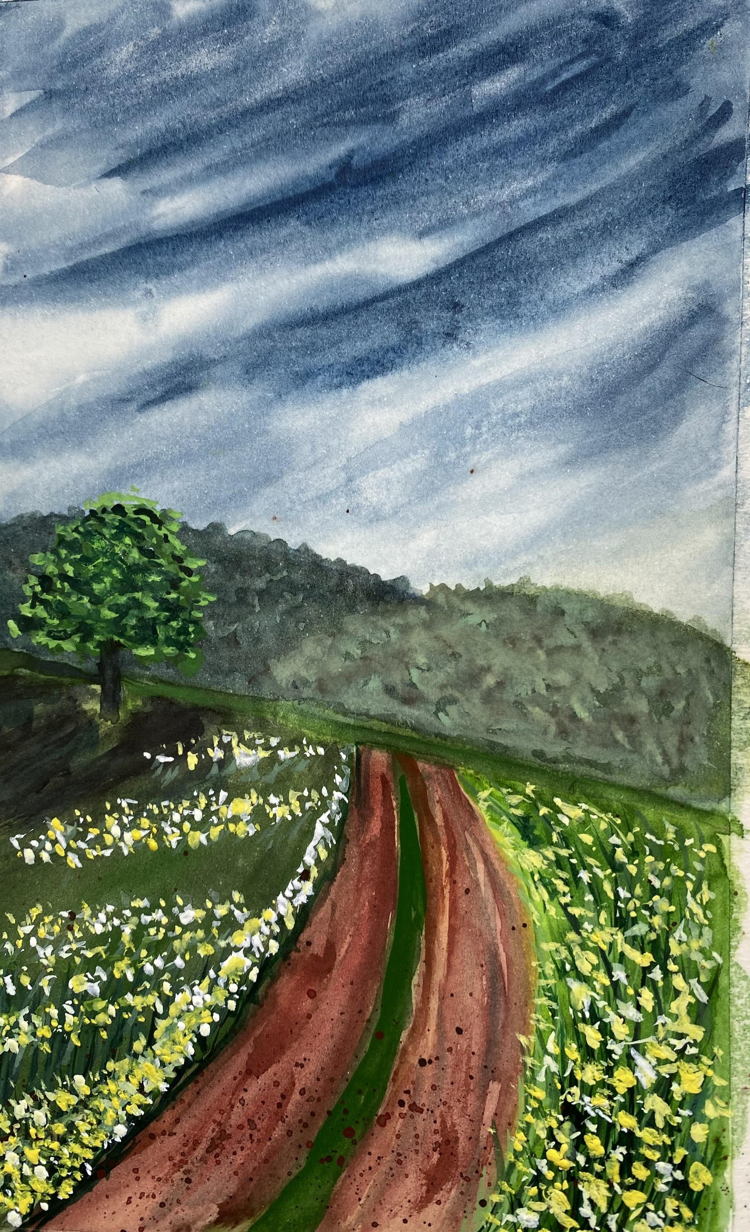 30 day Landscape challenge - image 9 - student project