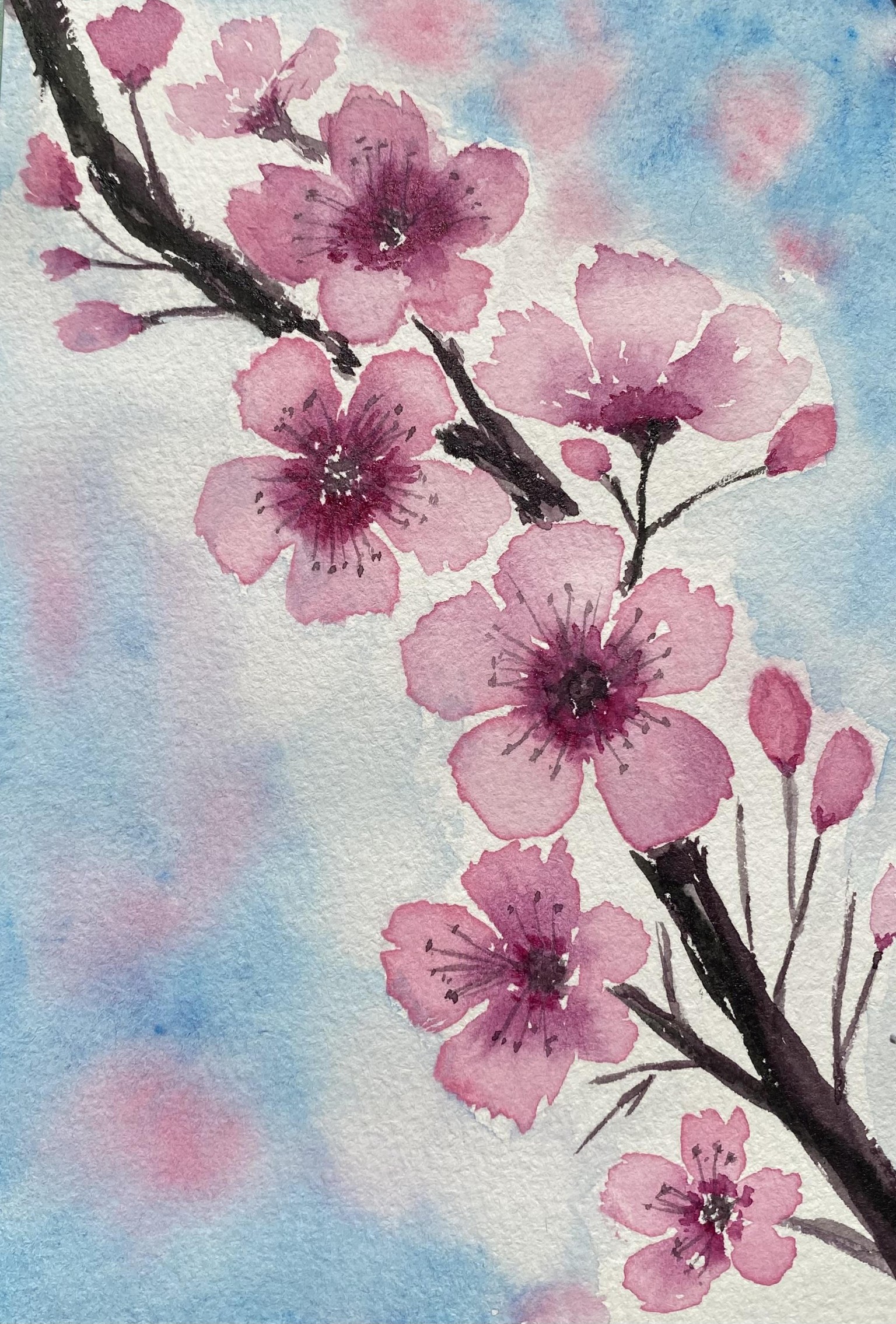 Cherry blossom project - image 1 - student project