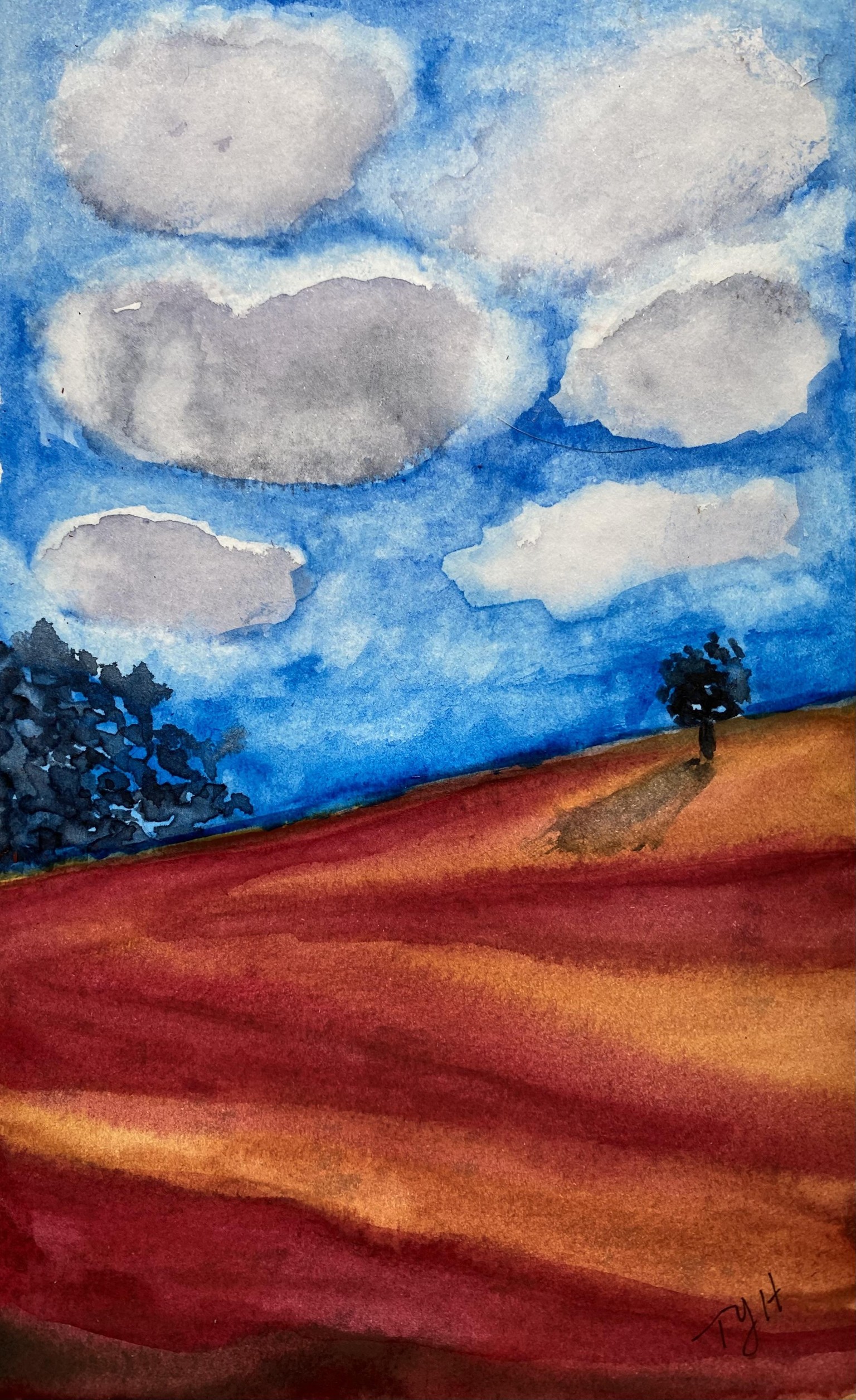 30 day Landscape challenge - image 8 - student project