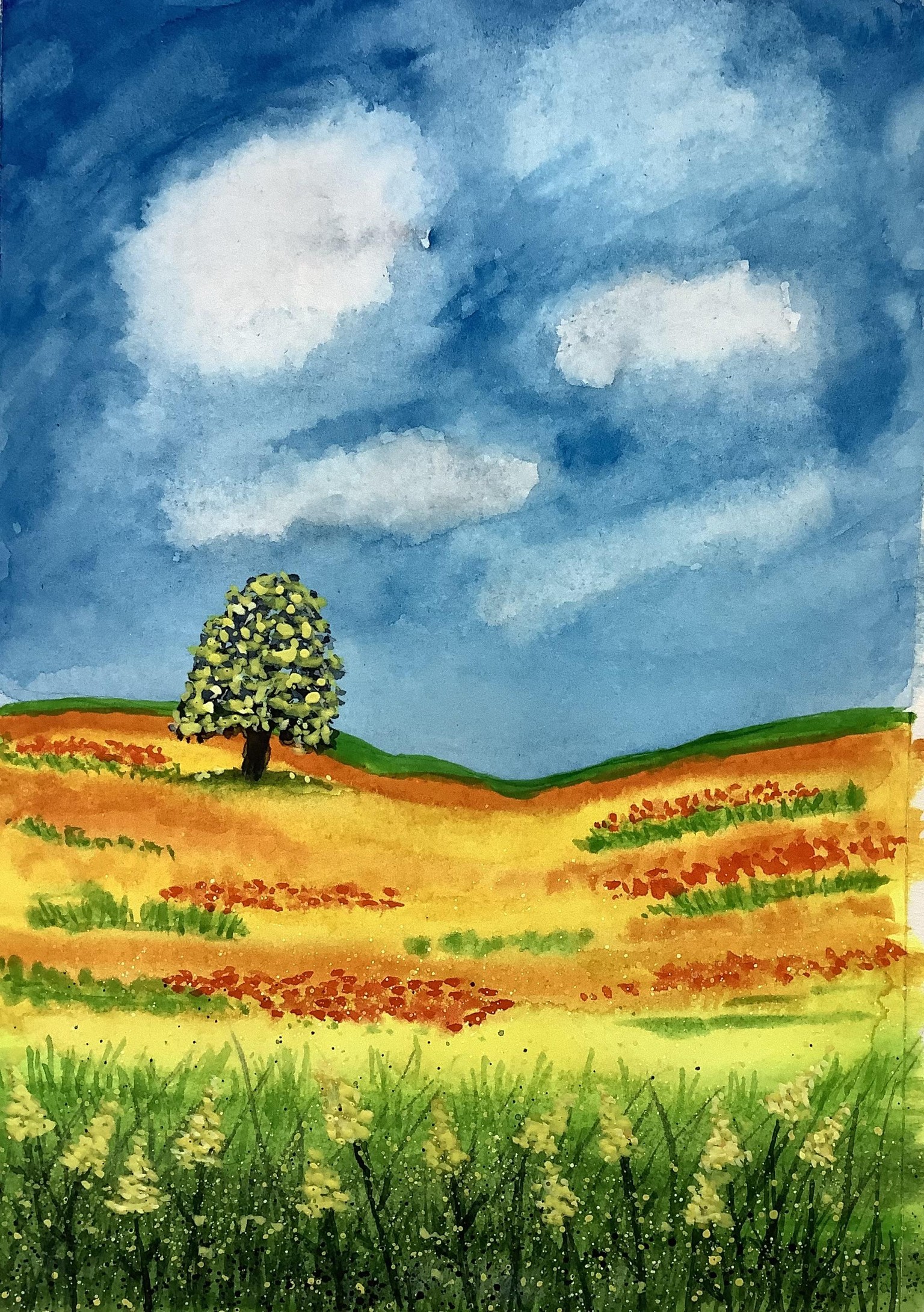 30 day Landscape challenge - image 11 - student project