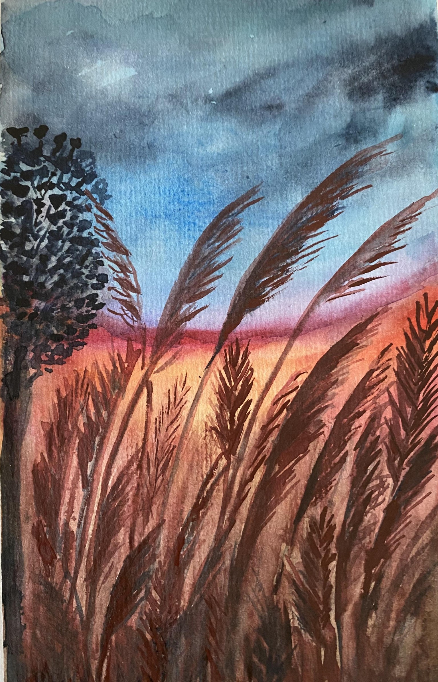 30 day Landscape challenge - image 4 - student project