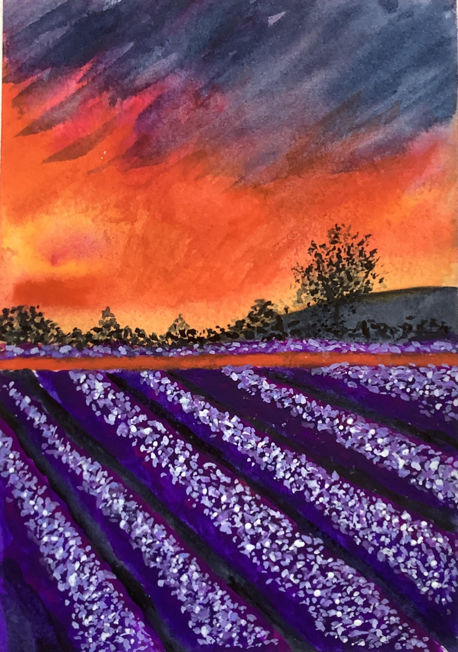 30 day Landscape challenge - image 10 - student project