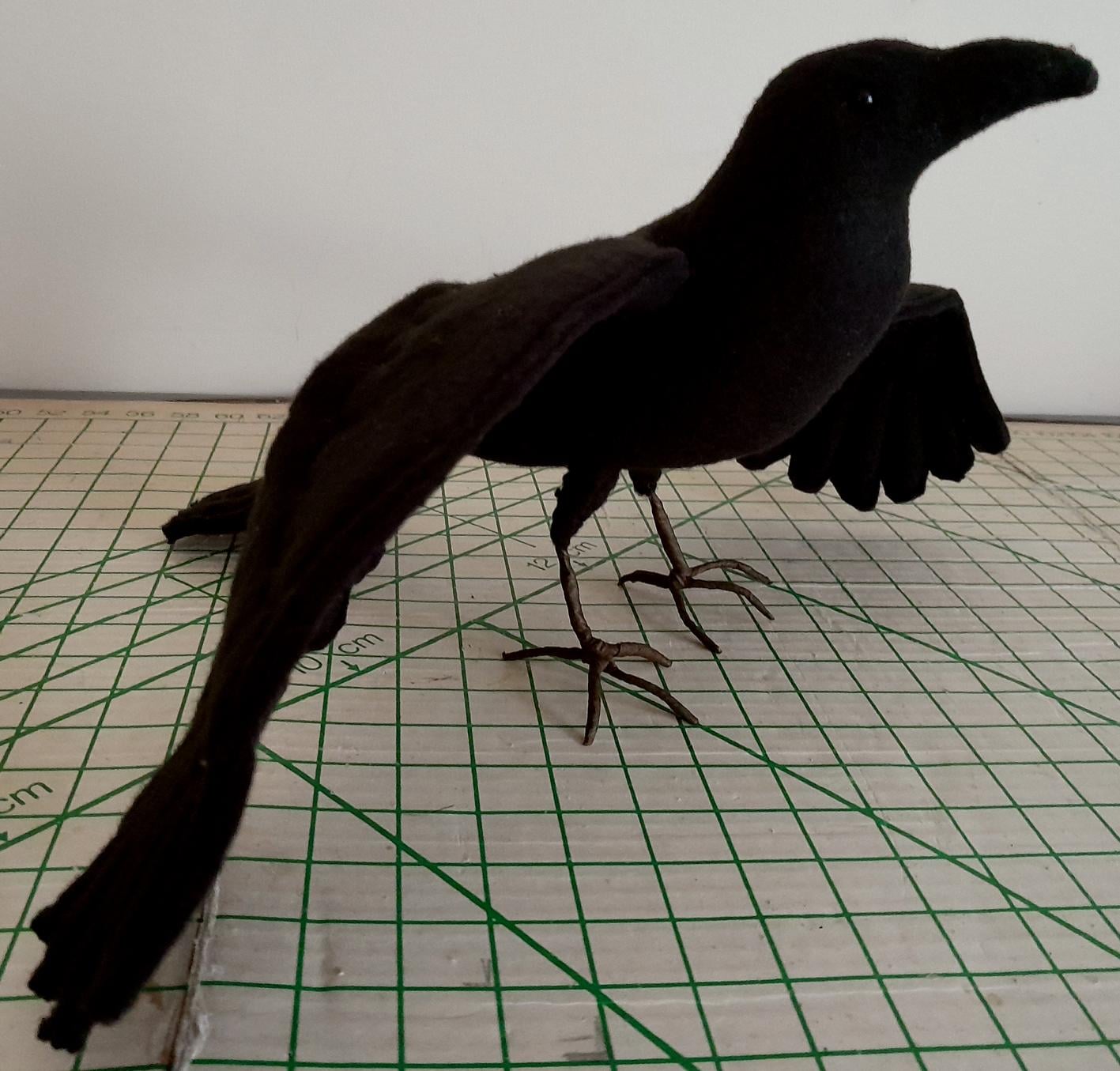 My first Crow - image 1 - student project