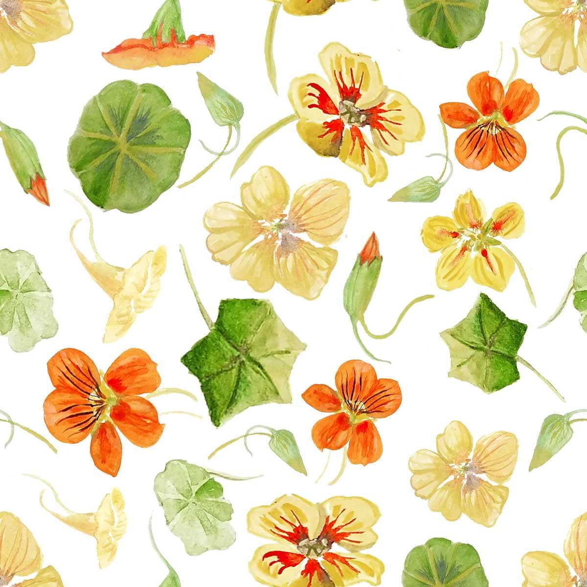 Scattered Nastursiums - image 1 - student project