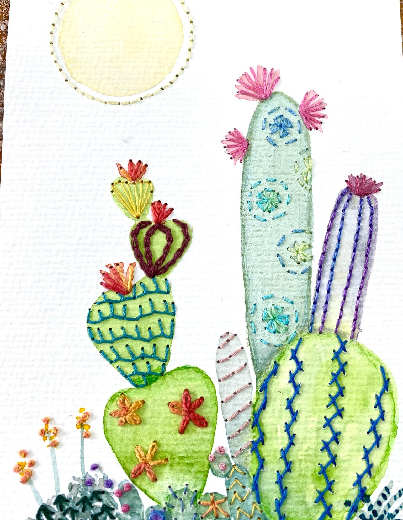 Cacti & Succulents - image 3 - student project