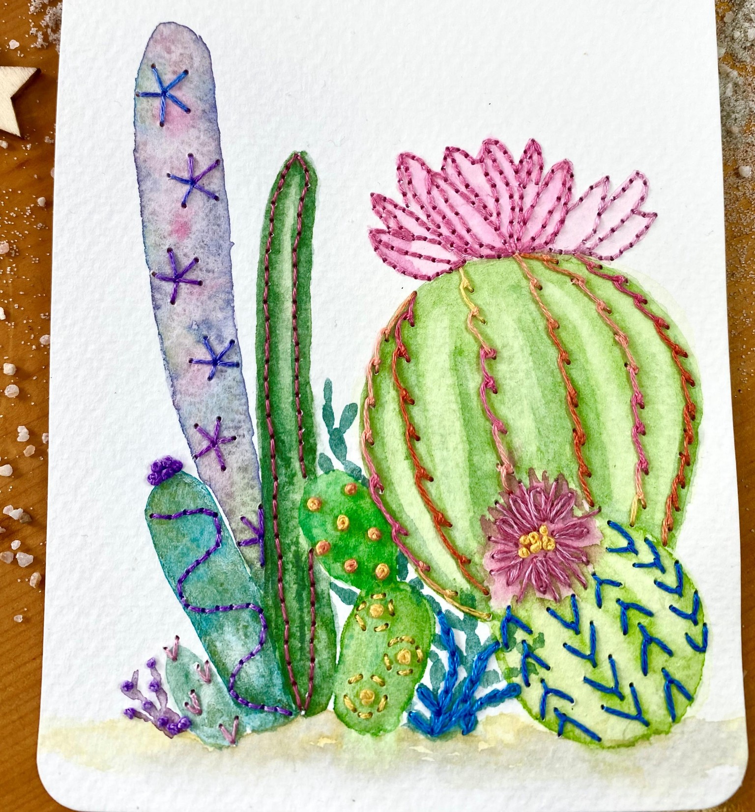 Cacti & Succulents - image 2 - student project
