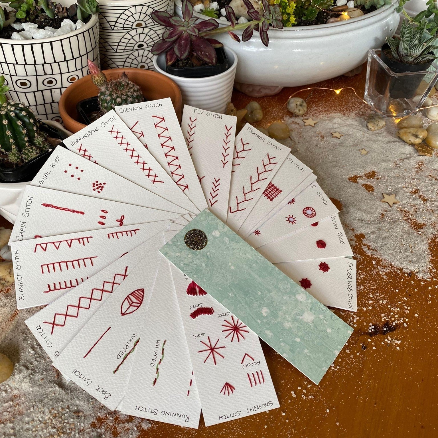 Cacti & Succulents - image 4 - student project