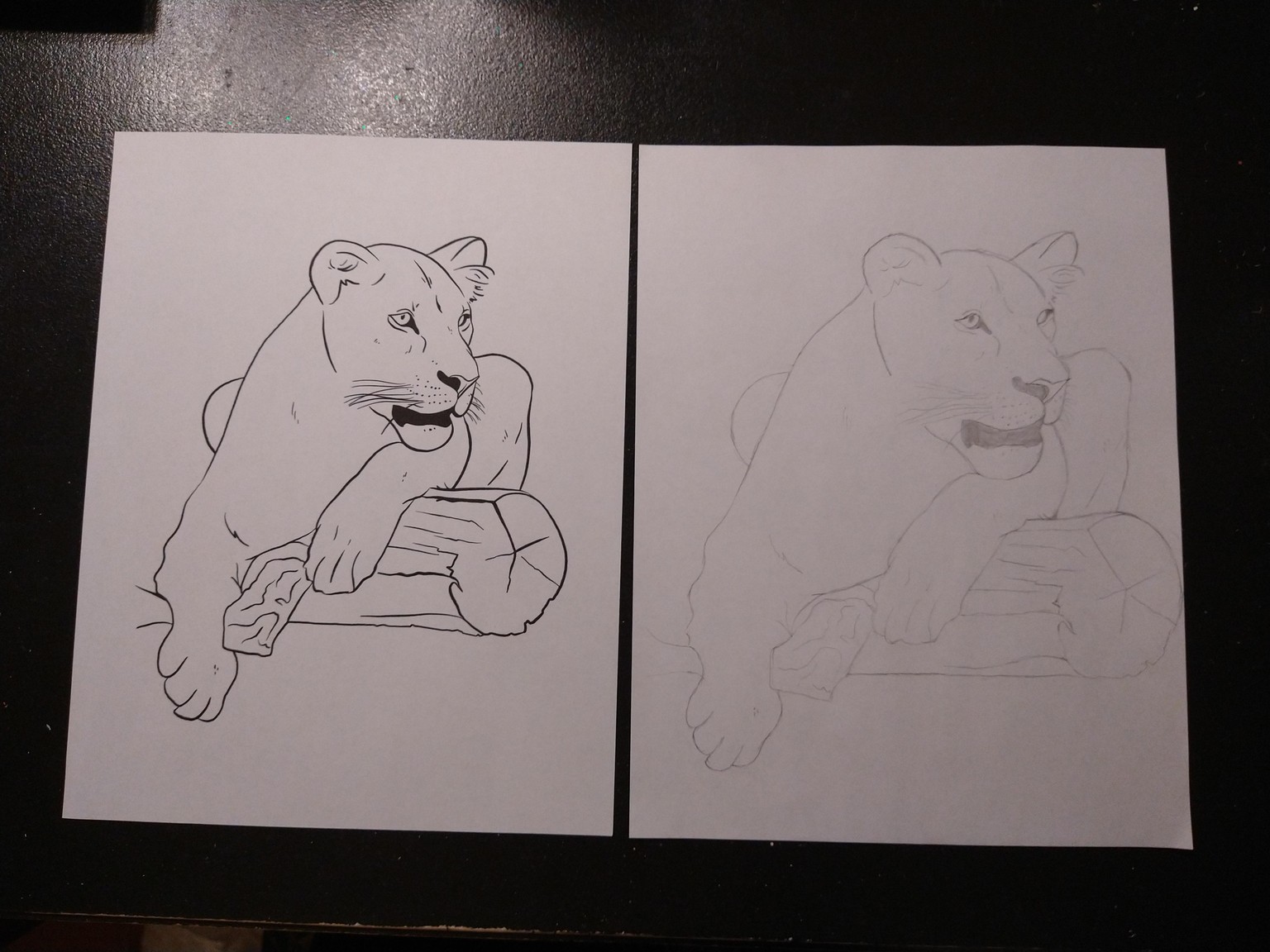 Drawing Exercises To See Better - image 1 - student project