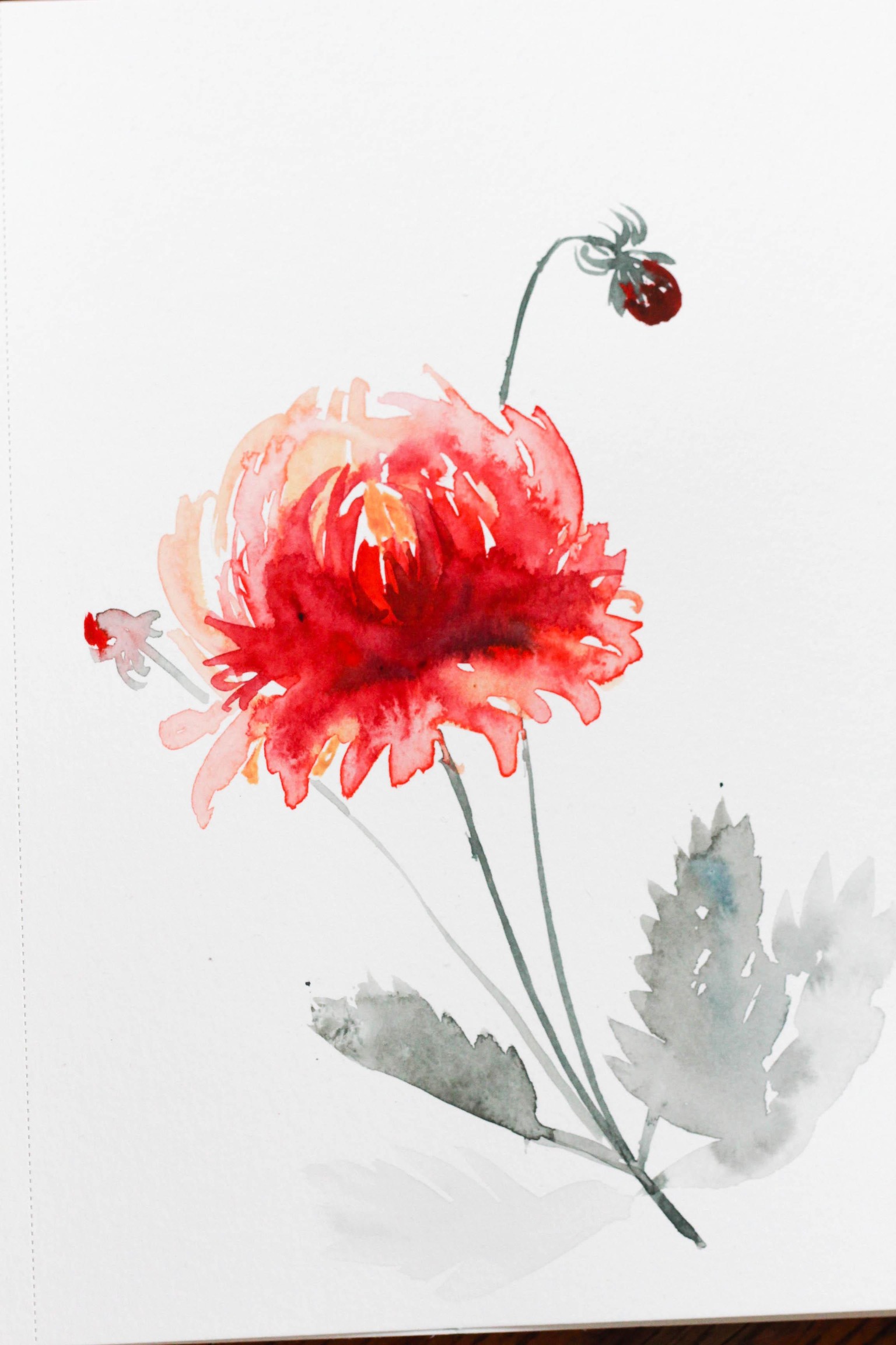 Loose Dahlias - image 2 - student project