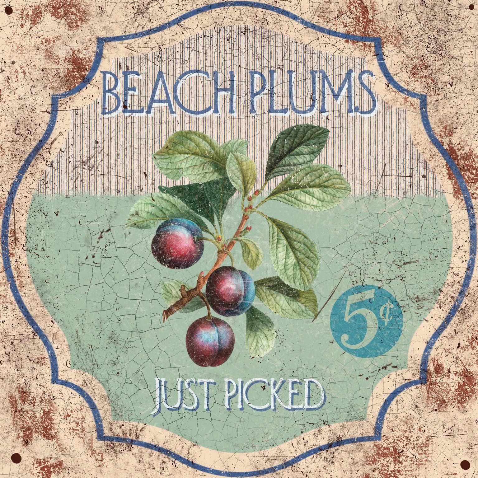 Beach Plums - image 1 - student project