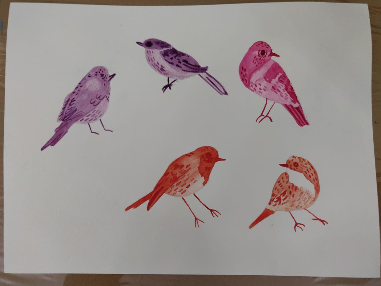Class 1 Practice and Project - image 2 - student project