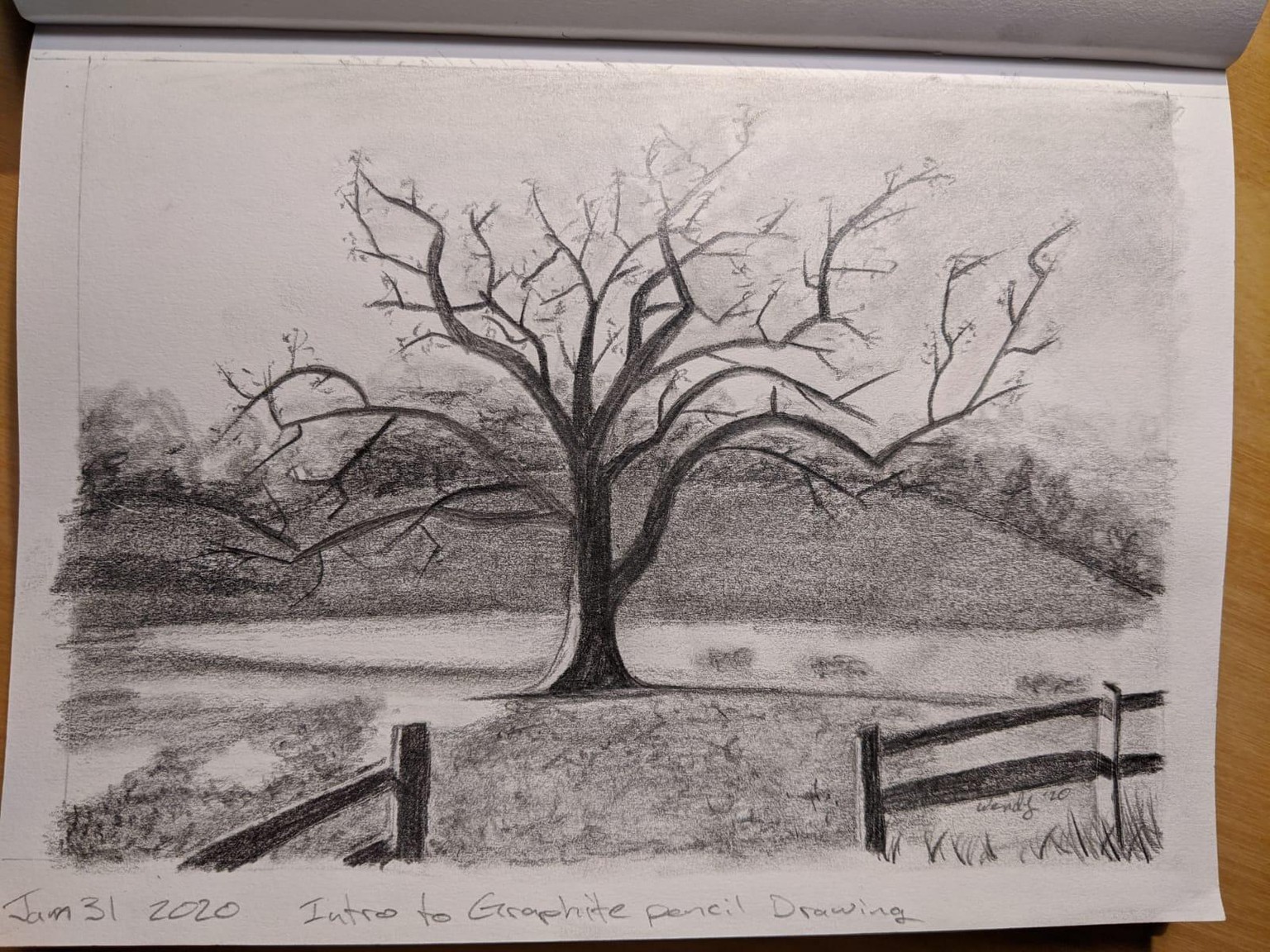 Intro to Graphite Pencil Drawing - image 1 - student project