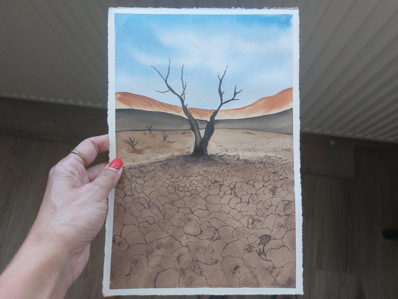 Desertscapes - image 4 - student project