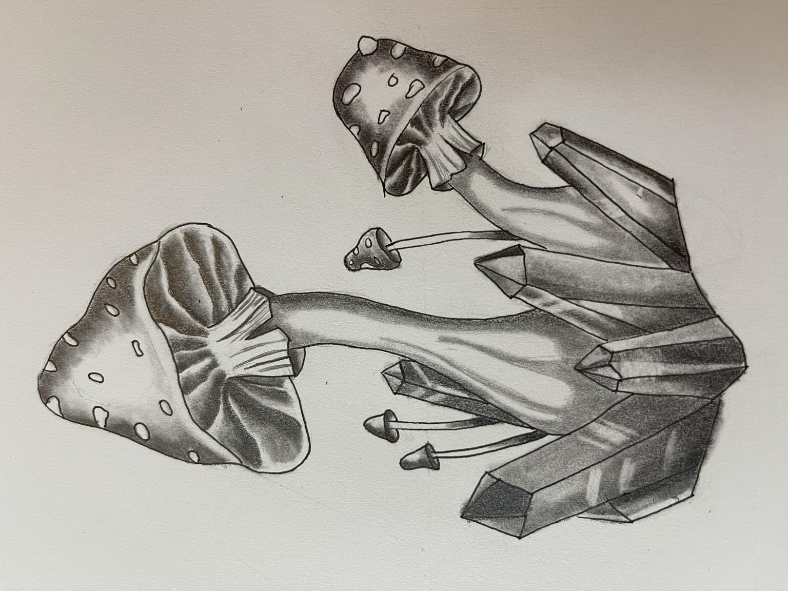 Mushrooms and Crystals - image 1 - student project