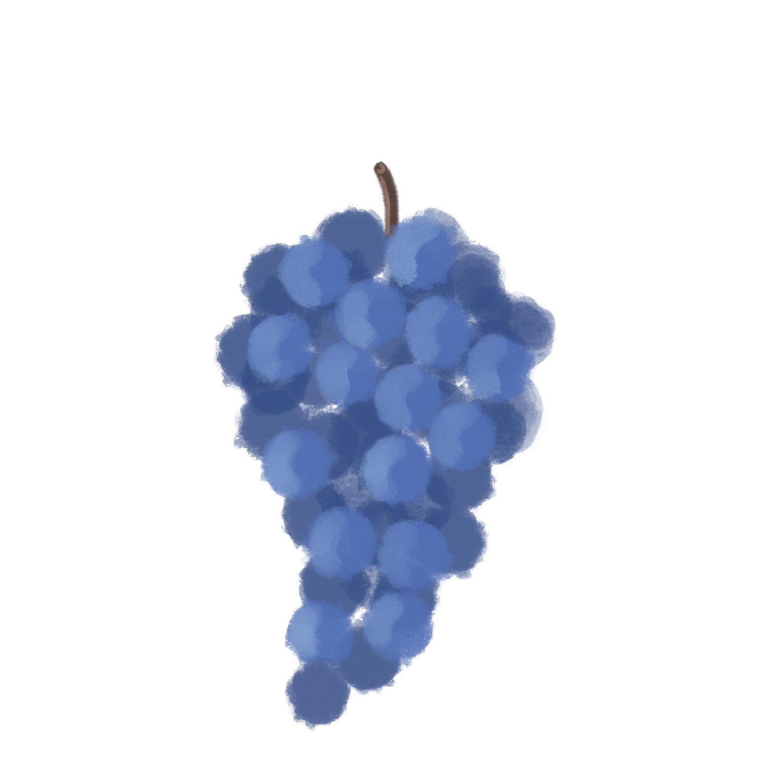 grapes - image 1 - student project