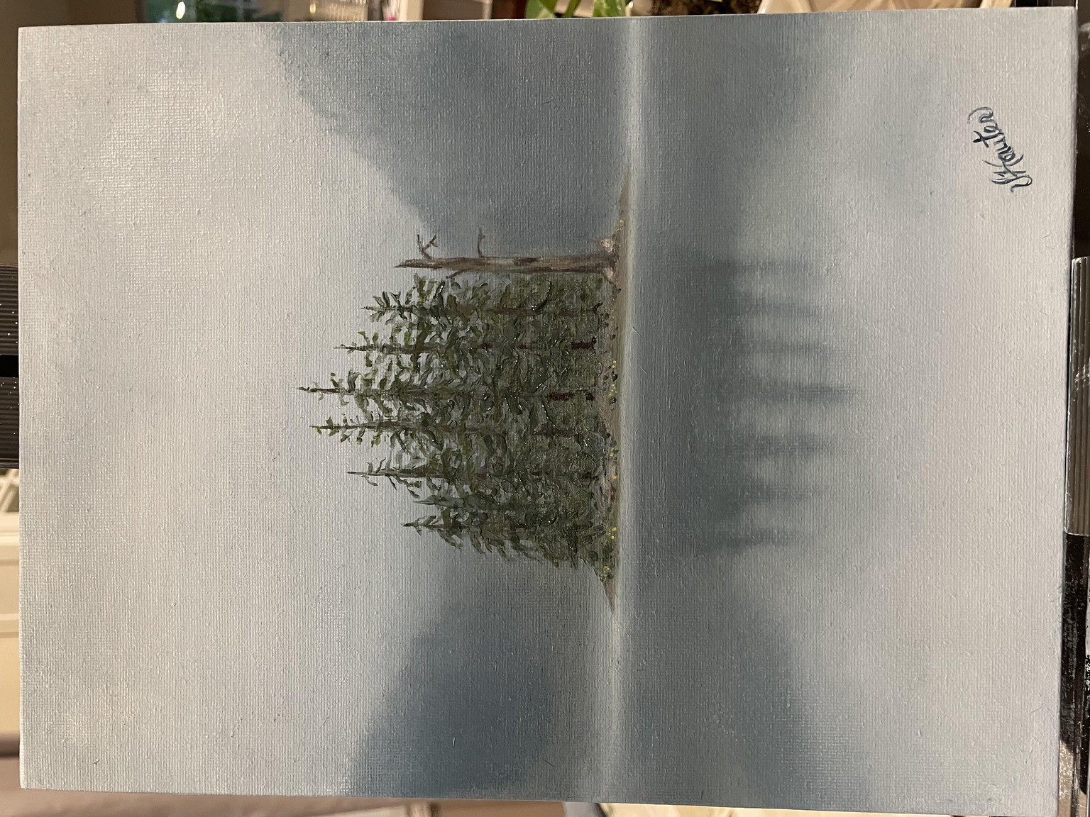 Misty Island and Reflection Scene - image 1 - student project