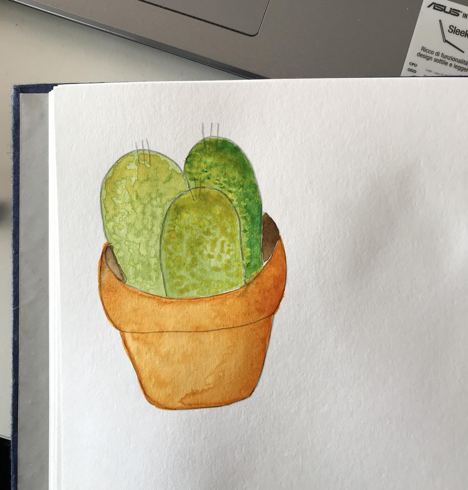 7 days Challenge - Day 2 - Succulents - image 10 - student project