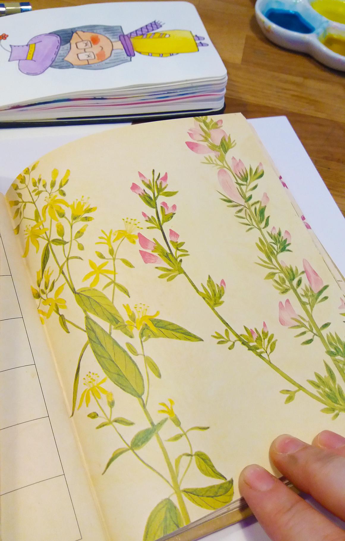 Workshop Project: Watercolor and Floral Illustrations and Final Project Prompts - image 18 - student project