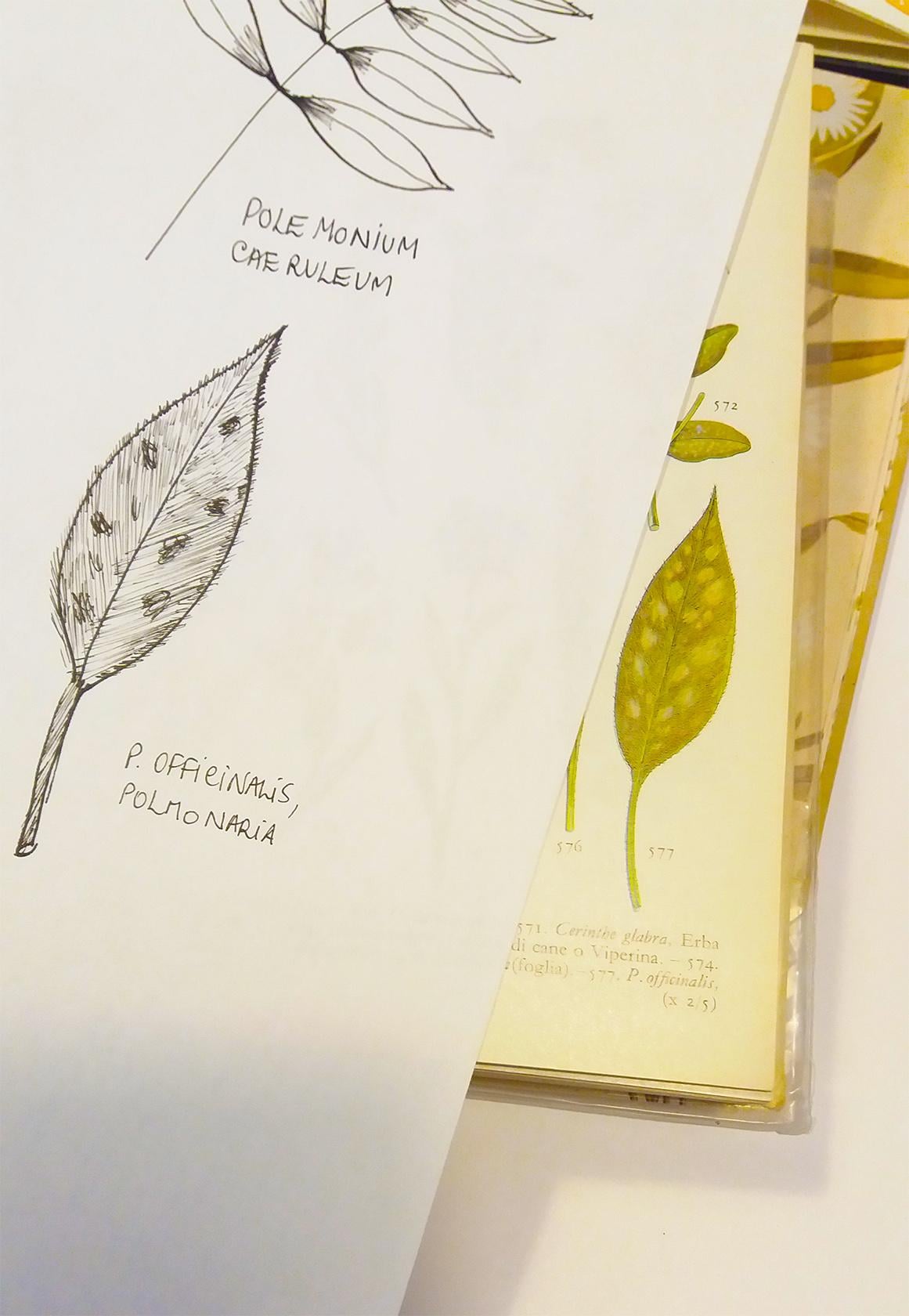 Workshop Project: Watercolor and Floral Illustrations and Final Project Prompts - image 23 - student project