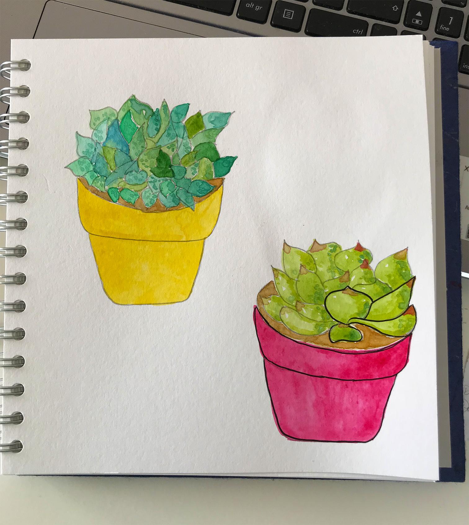 7 days Challenge - Day 2 - Succulents - image 9 - student project