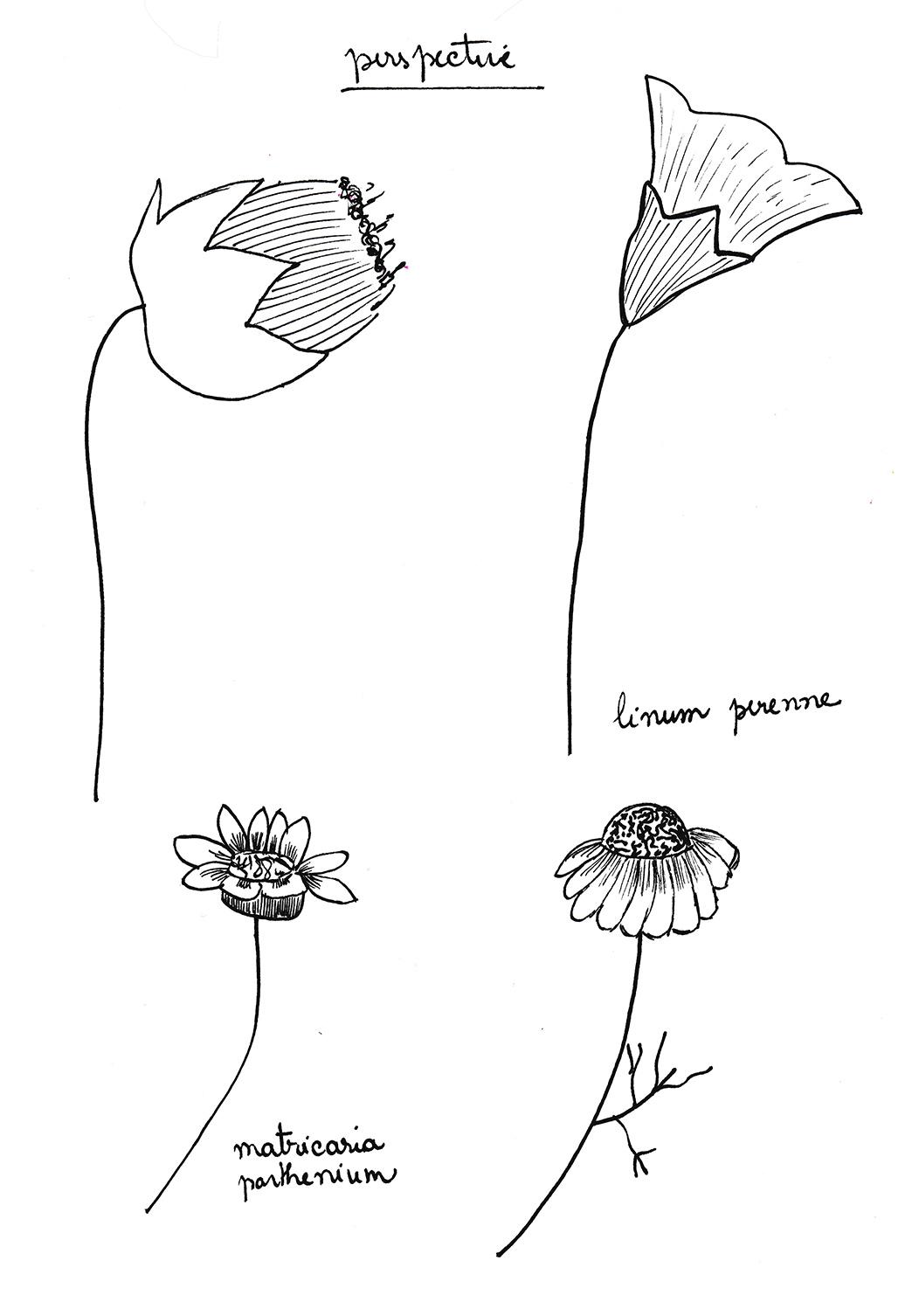 Workshop Project: Watercolor and Floral Illustrations and Final Project Prompts - image 20 - student project