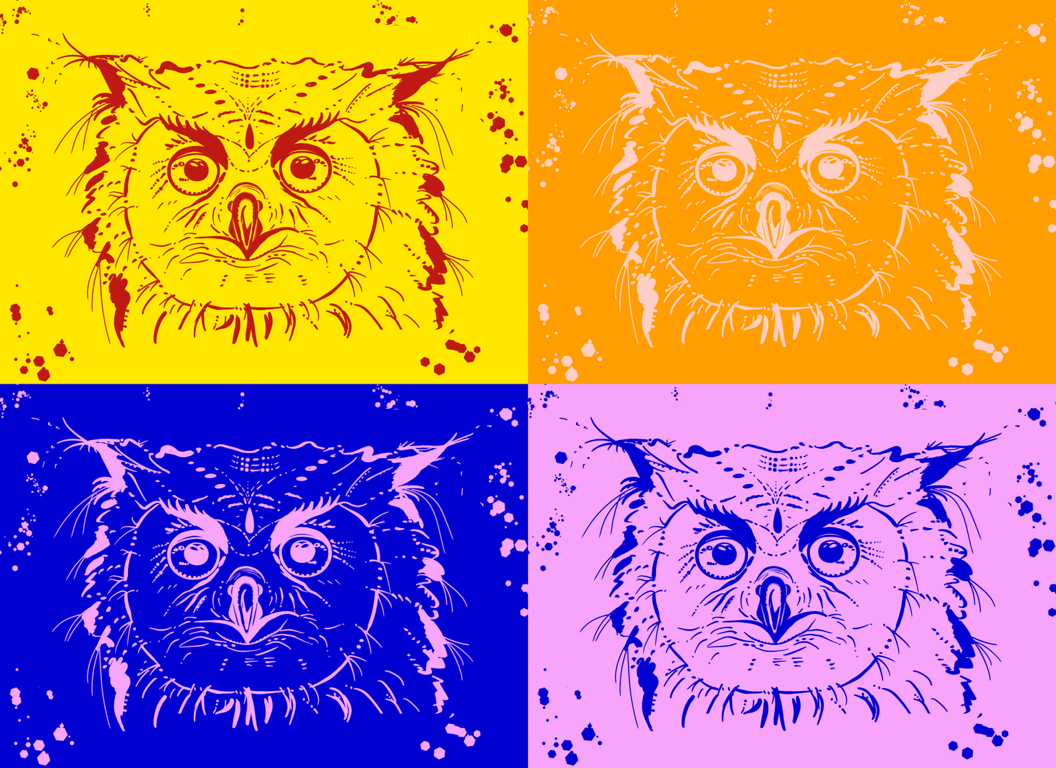 My cat and an owl - image 16 - student project