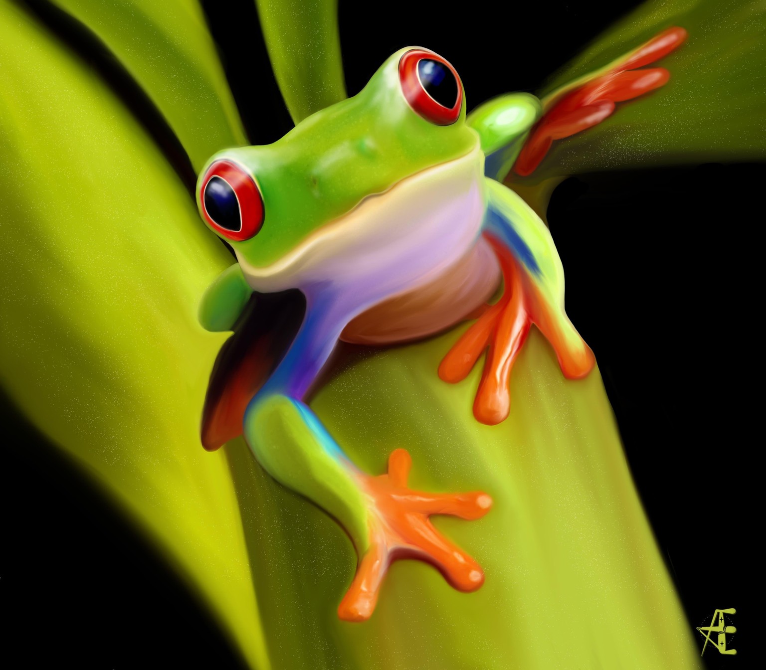 Animal Portraits - image 1 - student project