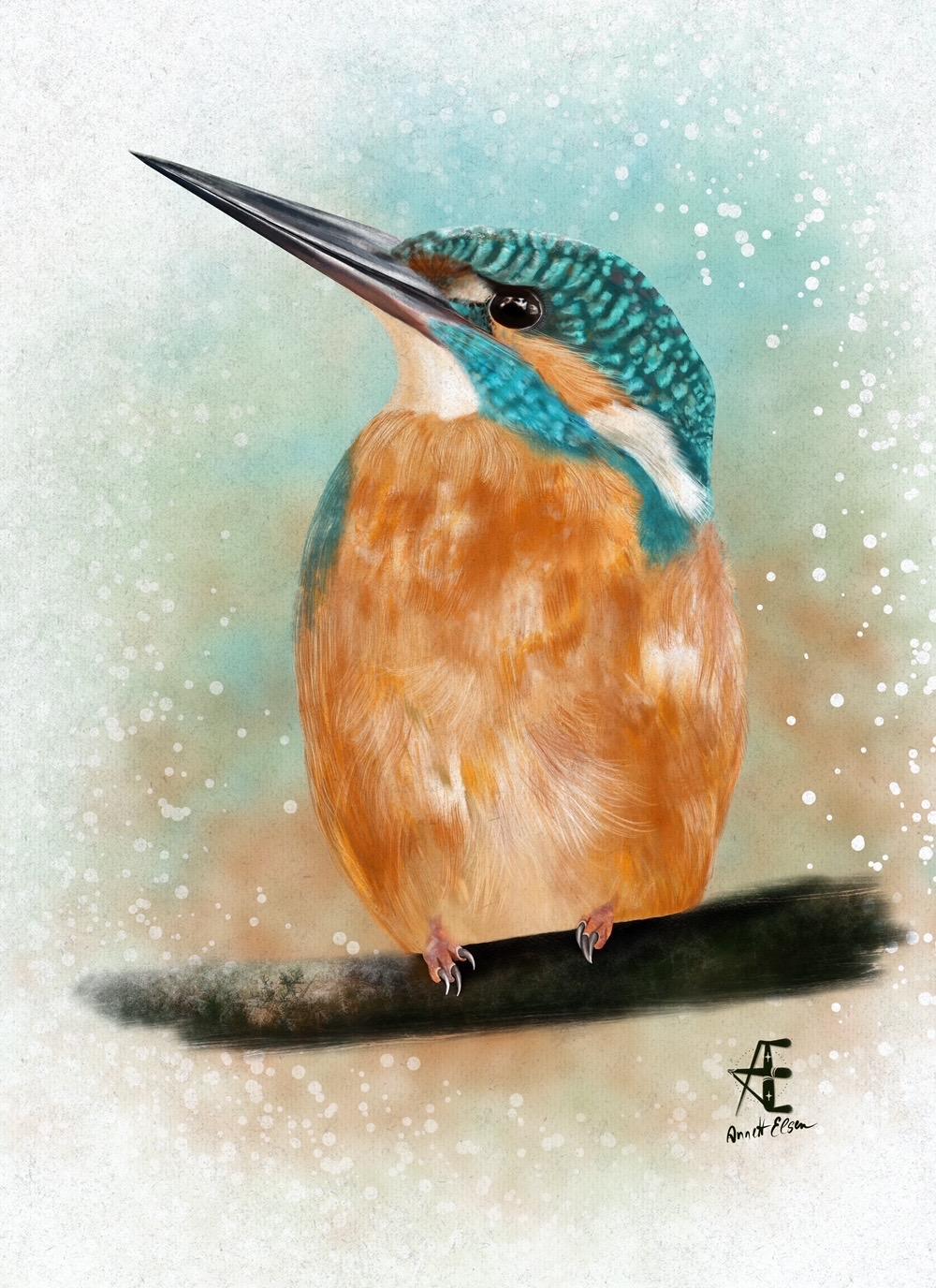 Birds - image 1 - student project