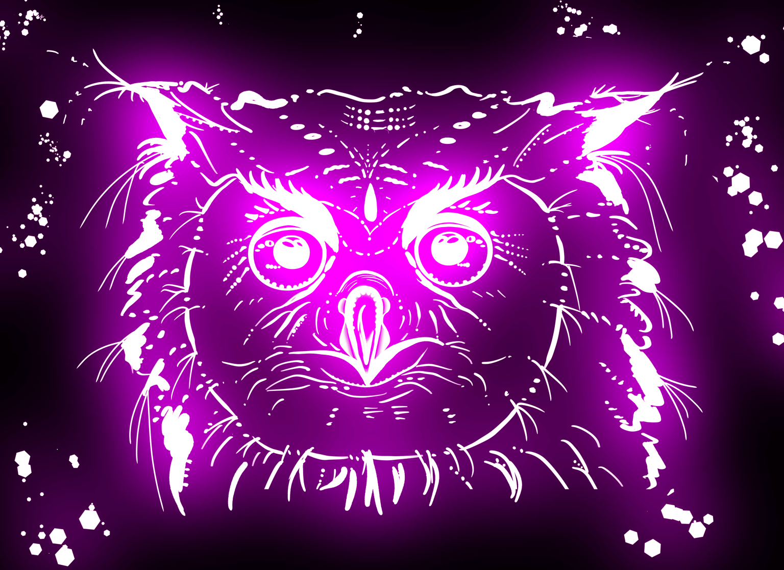 My cat and an owl - image 6 - student project