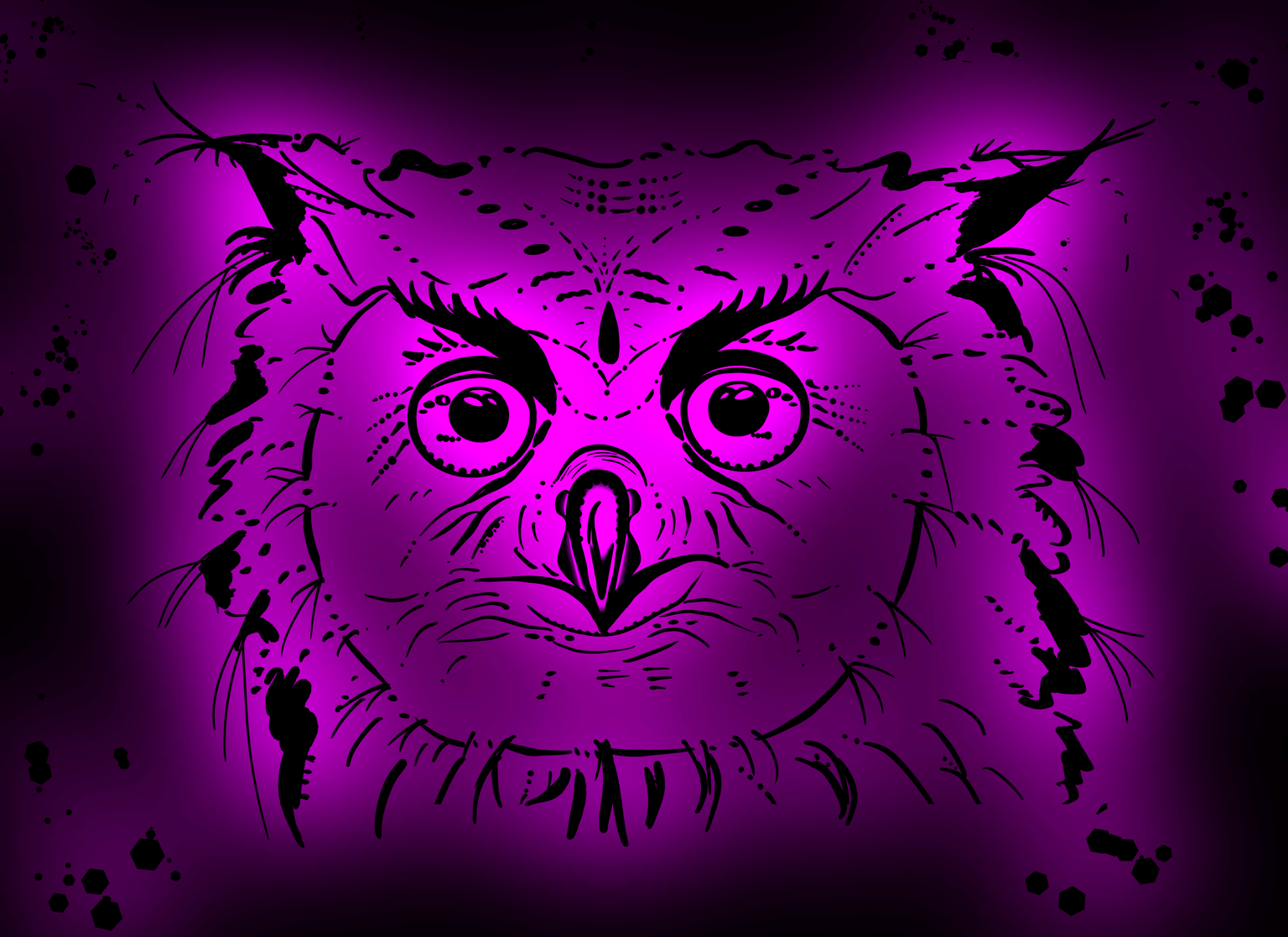 My cat and an owl - image 9 - student project