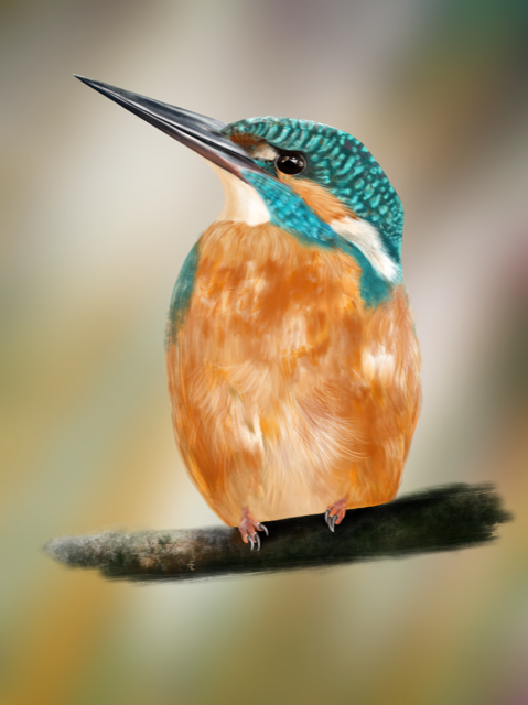 Birds - image 2 - student project