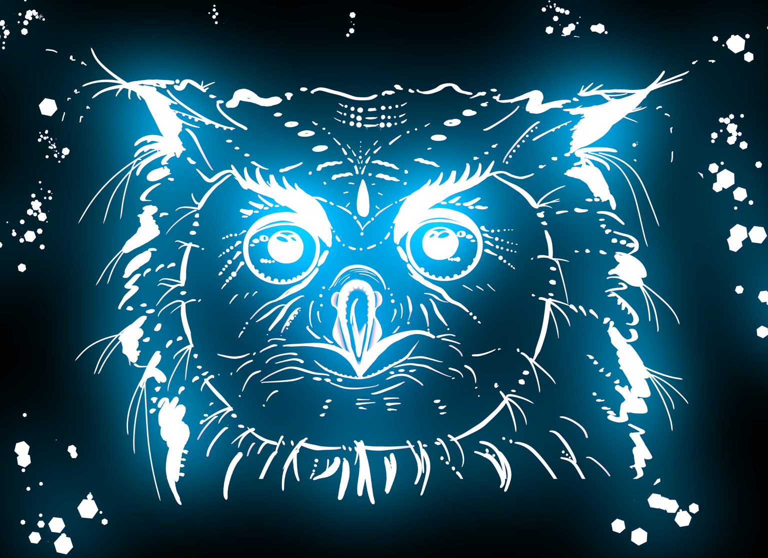 My cat and an owl - image 7 - student project
