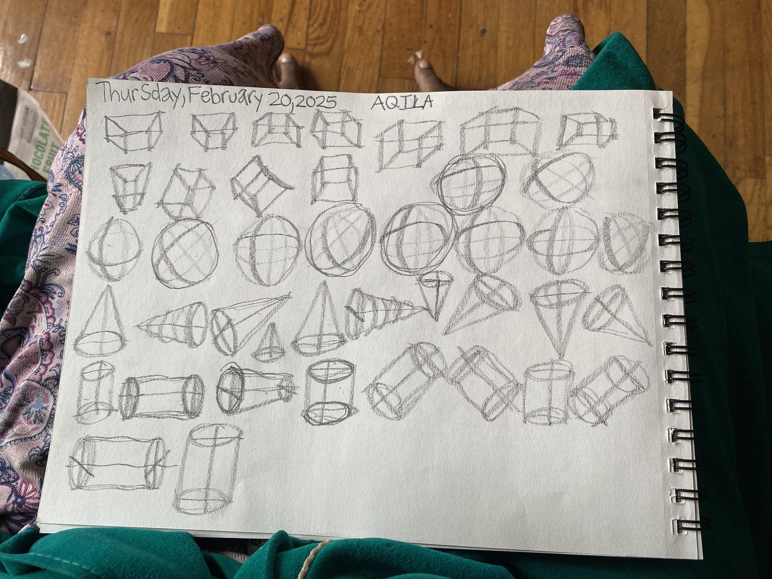 Aqila’s Two-Dimensional and Three Dimensional Shapes - image 1 - student project
