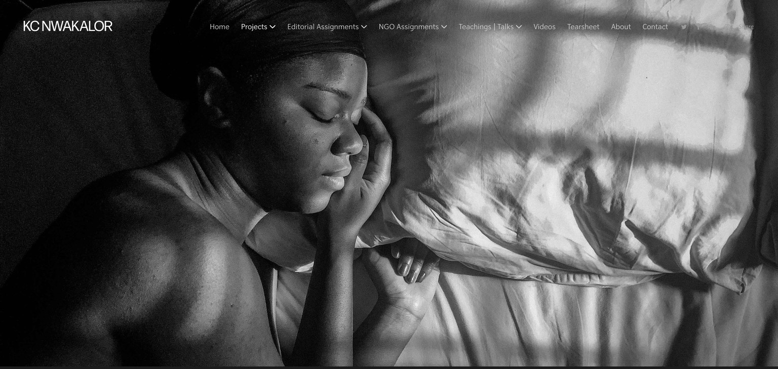 My Portfolio: Screenshots From My Website - image 1 - student project