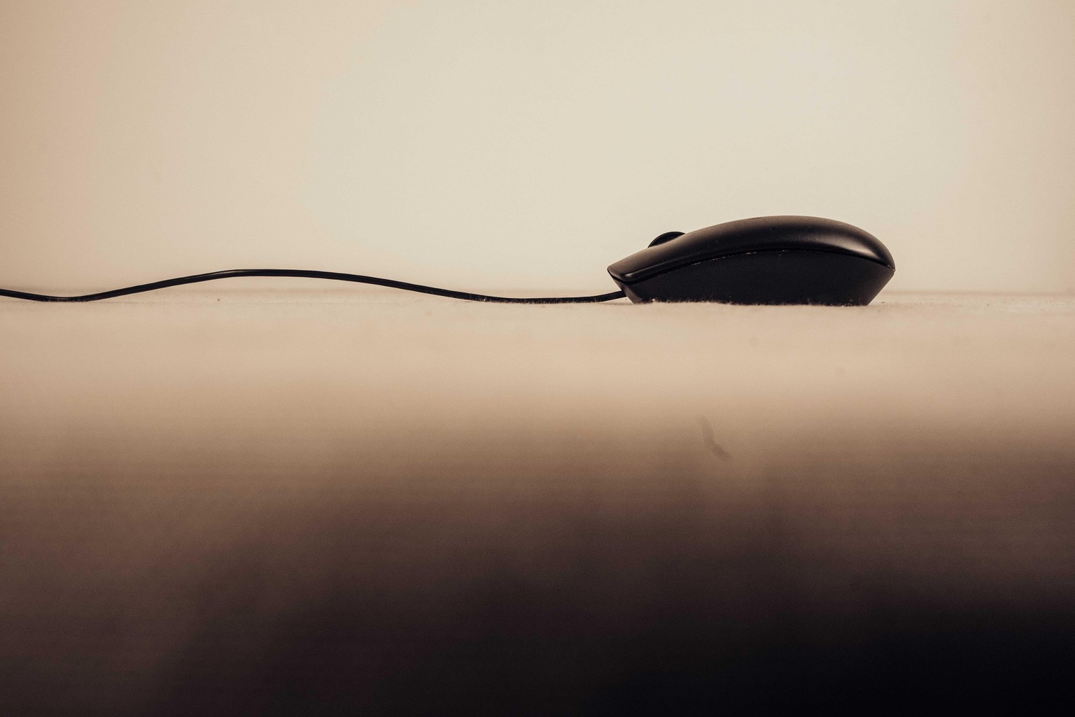 Photography Exercise - image 14 - student project